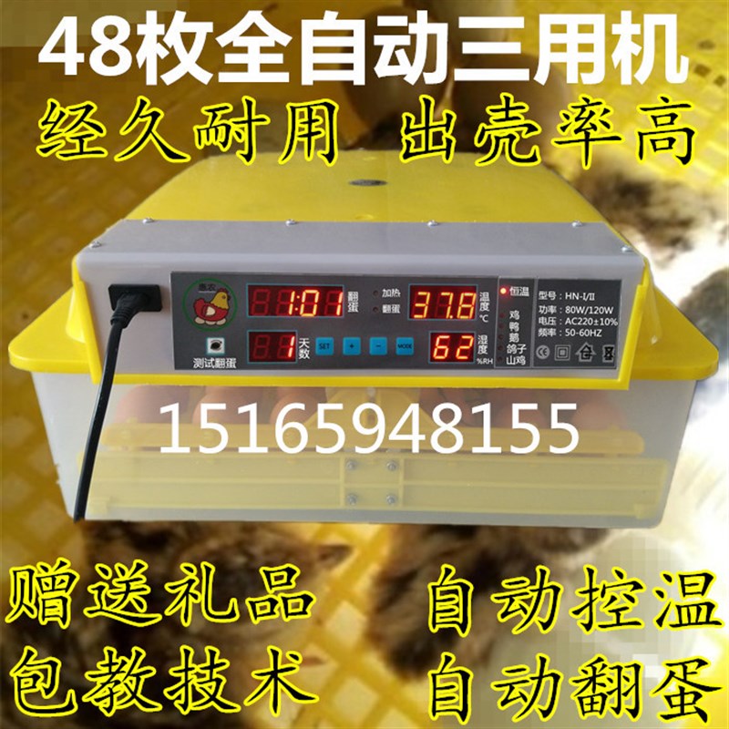 惠农出壳小鸡苗家用孵蛋机孵化器卵化机小型孵化设备小鸡抱蛋器暖