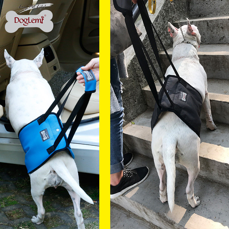 狗狗后腿残疾辅助背带老年犬腿无力受伤助力牵引绳宠物走路上楼用
