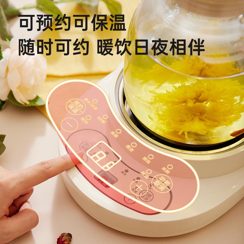 全玻璃养生壶家用多功能花茶壶办公室小型煮茶器自动一人用烧水壶