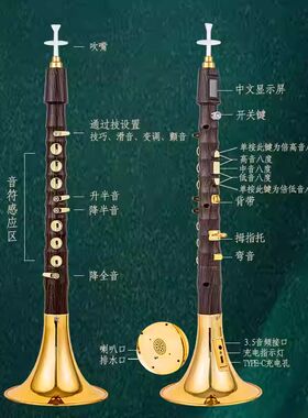 2025年新款华夏之韵电唢呐小朋友老人家初学者专业演奏者吹奏乐器