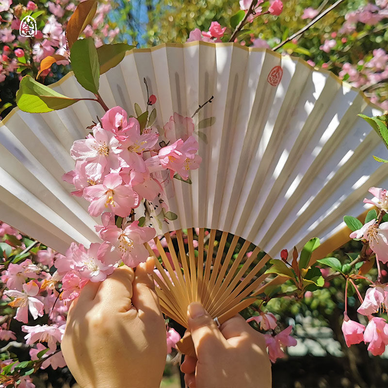 海棠微雨楚晚宁墨燃文创礼品手绘写中国古风明制配汉服道具折扇礼