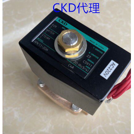 蒸汽电磁阀APK11-8A/10A/15A/20A/25A-C4A-C3A-C4N-AC220V-DC24V