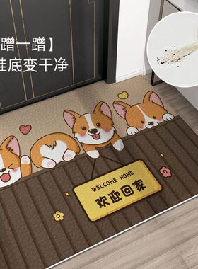 。高级感入门户地垫可擦洗入户脚垫室内入室门地点垫门口进户门免