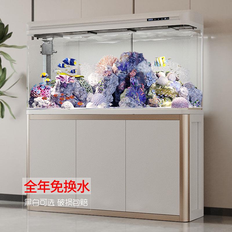 客厅鱼缸免换水水族箱中型创意超白玻璃金鱼缸2024新款家用养鱼缸