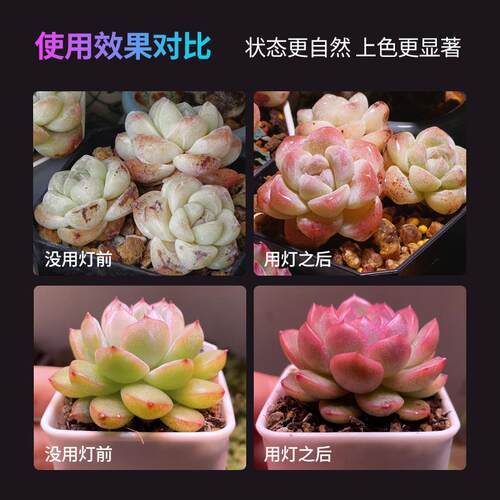 植物补光灯全光谱多肉上色仿太阳光热植幼苗培育灯植物专用生长灯