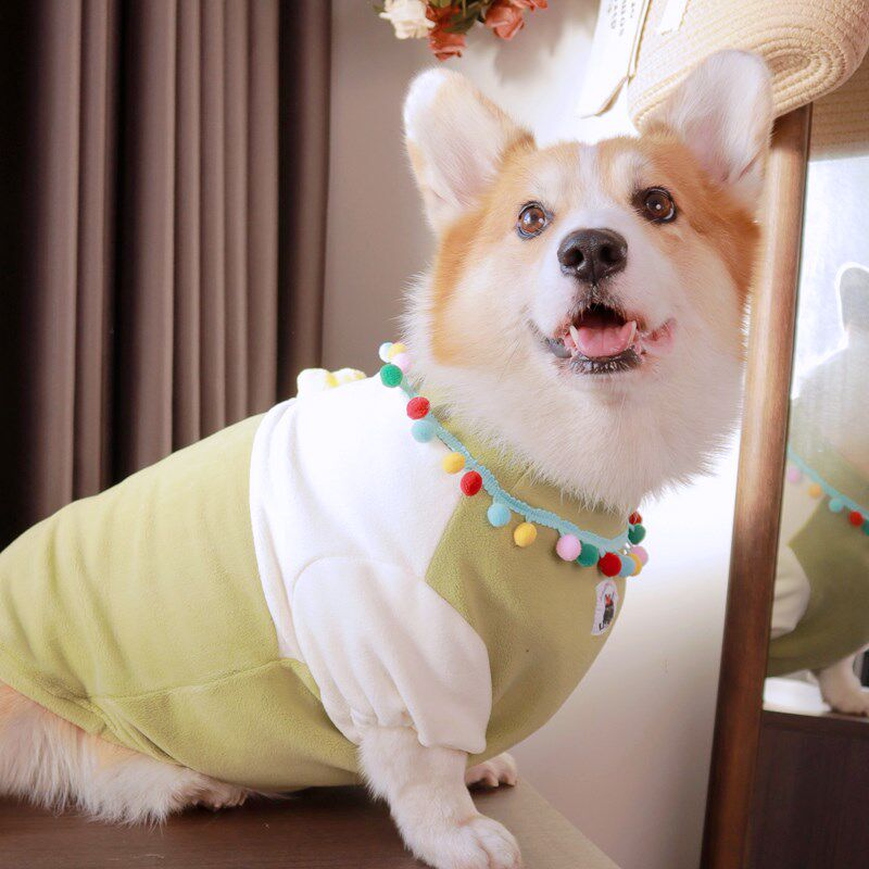 柯基柴犬串串田园犬加绒加厚奥粒绒T恤宠物衣服毛绒衣服