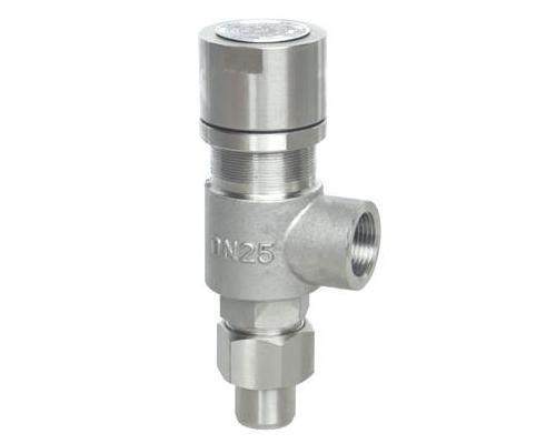 A21W F Y-16P/25P 304不锈钢弹簧微启式安全阀 A21H-16C/40C DN15