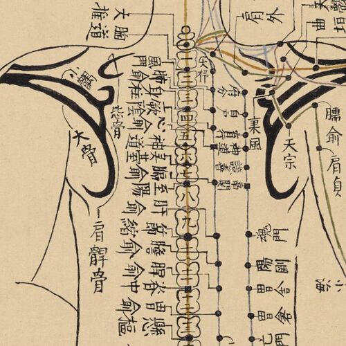 网红针灸铜装人穴位图人体经络全身经脉身体背古部饰画中医馆挂画