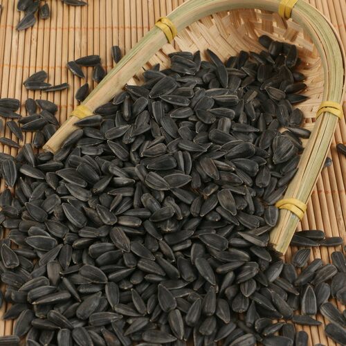 油葵小瓜子鸟粮油葵籽鹦鹉鸟食仓鼠粮鸟粮鸽粮铜嘴粮鸟料5斤包邮