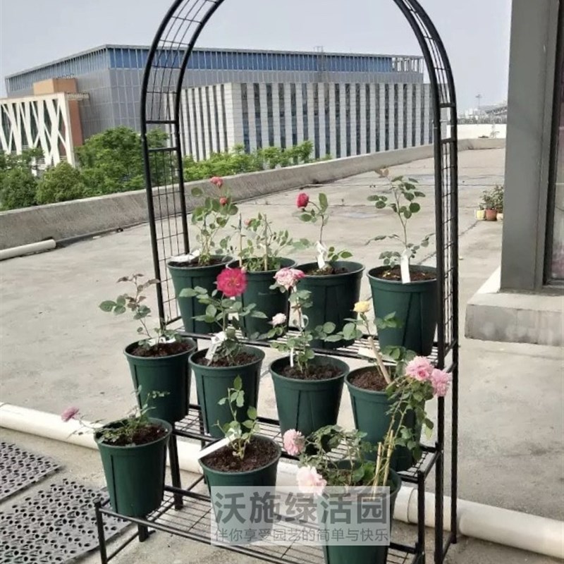 庭院铁艺拱门爬藤月季铁制简约花架户外攀爬架室外花支架支撑