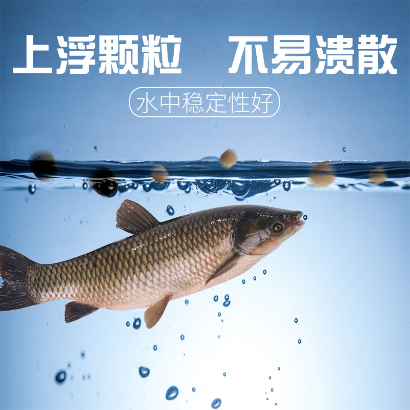 塘鲺鱼塘角鱼饲料塘虱鱼漂浮料鲶鱼钓鱼饵料鱼食池塘养殖通用鱼粮