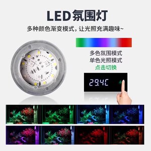 森森超白玻璃鱼缸客厅小型家用水族箱生态免换水过滤制氧金鱼缸
