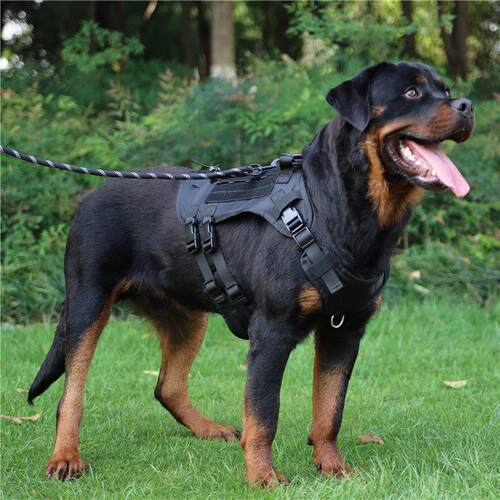 杜宾战术胸抱婴袋罗威那中大型犬牵引绳背心式德牧马犬衣服外出遛