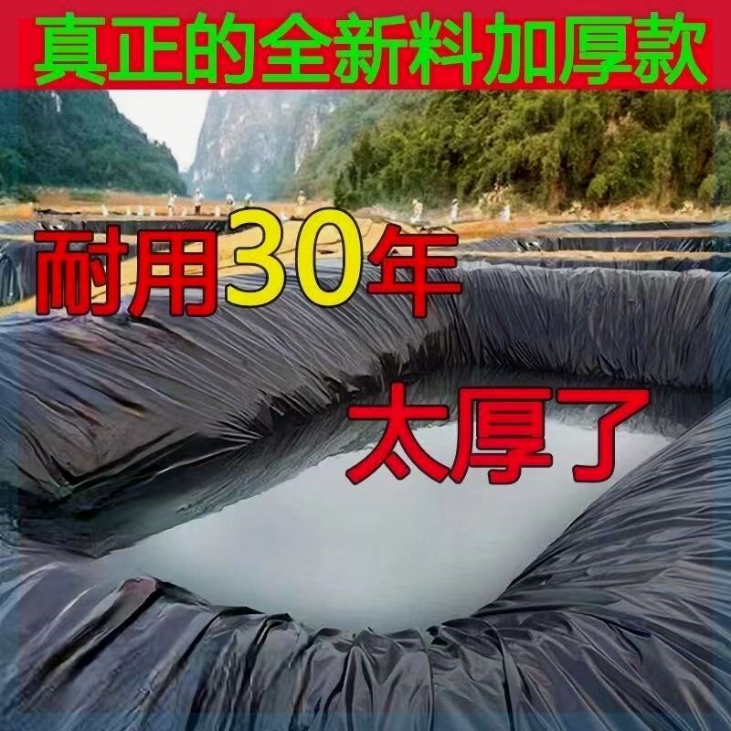 鱼塘防渗膜土工膜防水布蓄水池塑料膜护坡防漏专用加厚鱼塘防渗膜