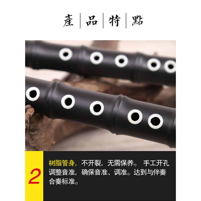 竖吹巴乌乐器成人专业演奏初学小学生F调大音量双管降B调