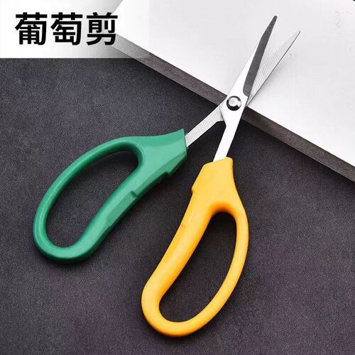 葡萄玫瑰专用不锈钢翘头剪刀园艺花艺剪刀蔬果树枝采果家用园林剪