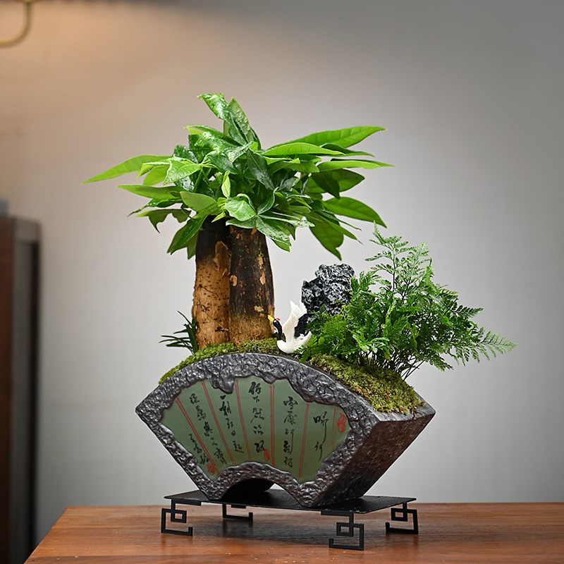 发财树绿植盆栽办公室装饰客厅文艺玄关送礼盆景造景创意桌面摆件