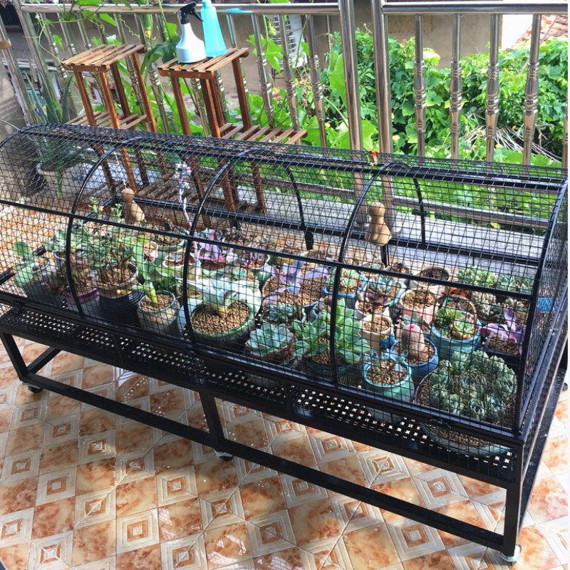 多肉防盗花架阳台露养铁艺网格花架可移动户外简约花盆架防鼠防鸟