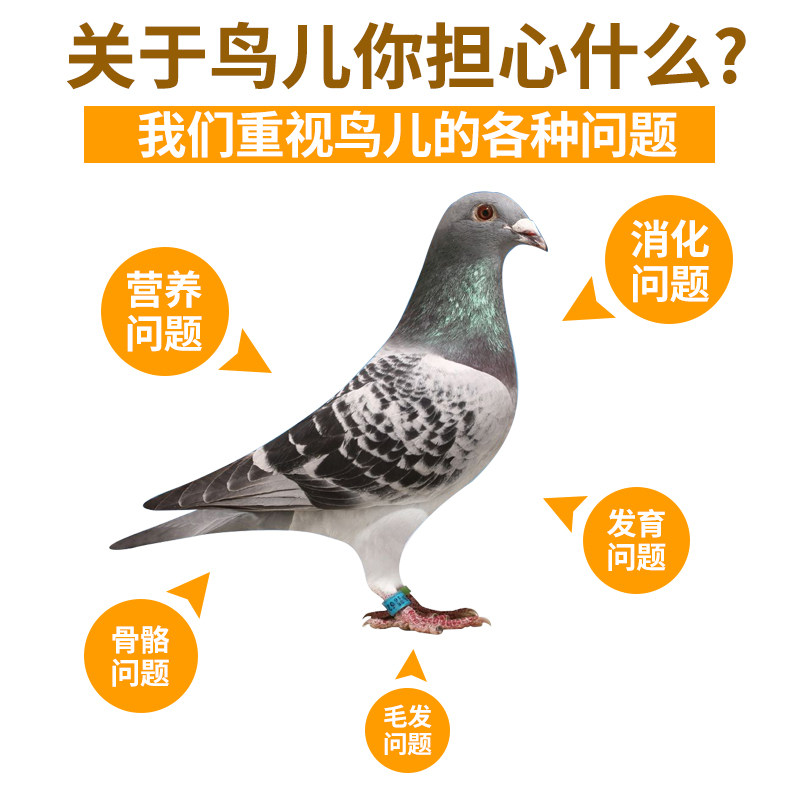 鸟食鸽缘磷钙颗粒保健砂营养红土信鸽赛鸽高补钙鸽子沙20公斤包邮