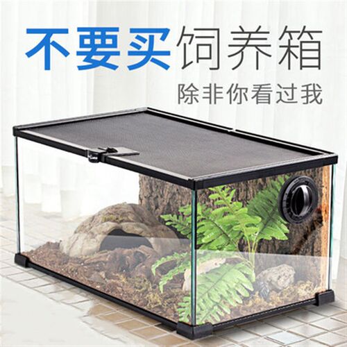 reptizoo玻璃爬缸蜥蜴守宫蛇寄居蟹陆龟爬宠爬虫角蛙鬃狮饲养箱盒