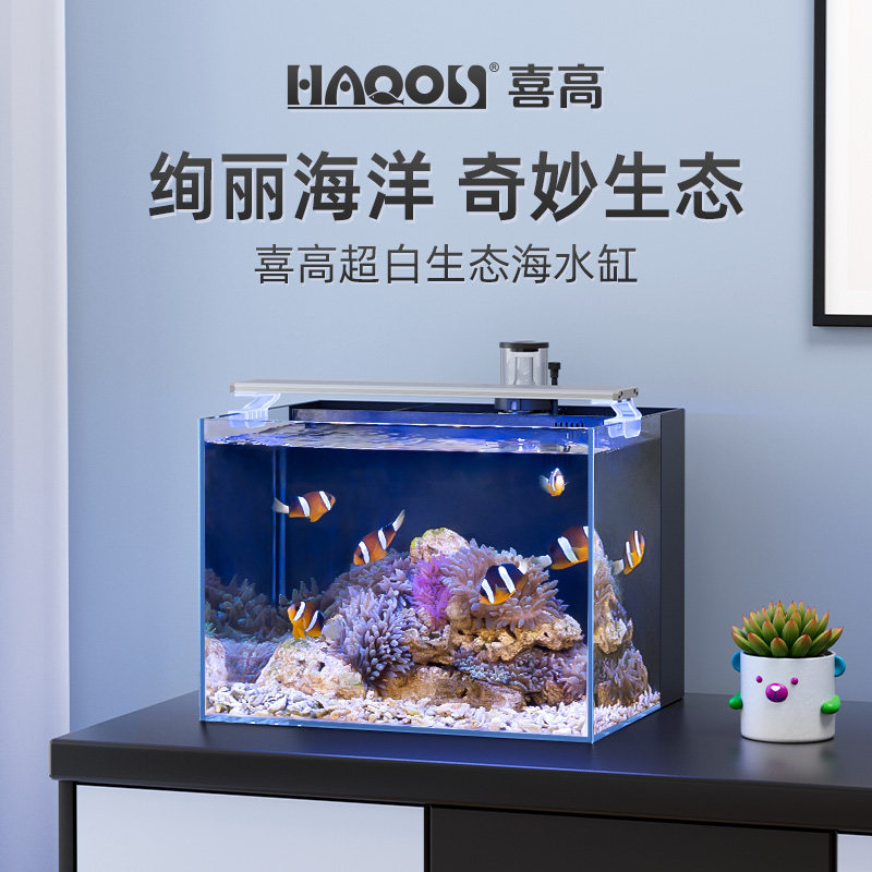 喜高海水缸小型创意造景背滤桌面客厅办公室家用小鱼海缸全套设备