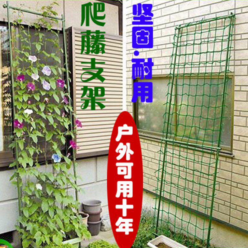 铁线莲蔷薇月季植物爬藤架攀爬爬墙花卉支架蔬菜结果塑料支柱花架