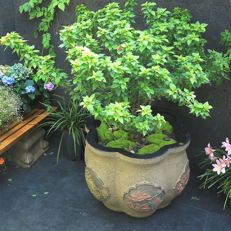 陋石坊庭院造景户外花盆天台大花缸阳台别墅花园种植花池水养摆件