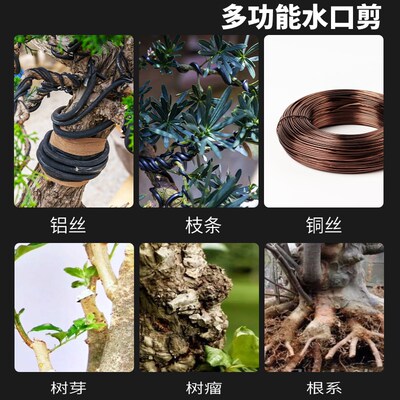 盆景水口钳园艺专用修剪工具修花剪刀修枝剪铝丝钳铝线断丝钳尖头
