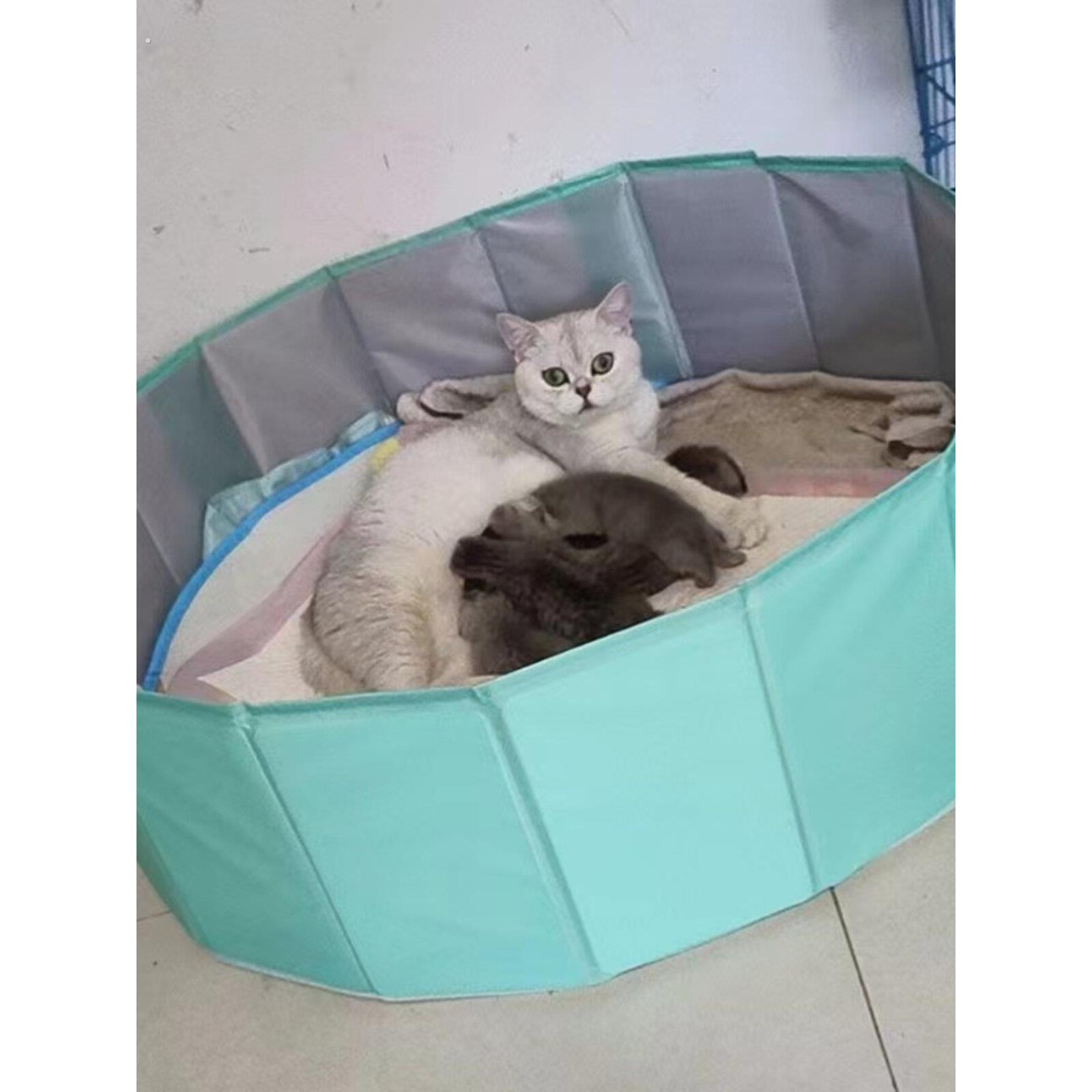 简易大型猫砂盒,可折叠,超大紧急便携式猫产房,宠物窝,狗产房