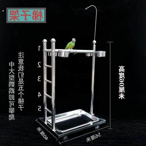 鹦鹉不锈钢站架小中大型鸟站架鹦鹉鸟类宠物鸟站架不锈钢梯子架子