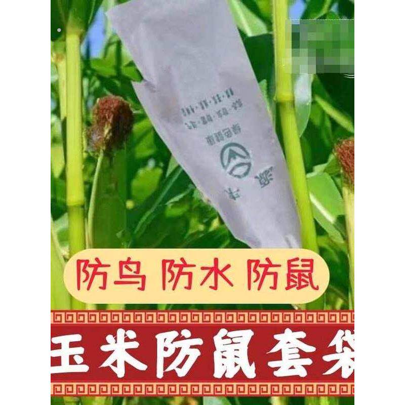 玉米防鼠套袋玉米防鸟套袋专用袋农用防虫老鼠苦爪丝瓜纸袋子苞谷