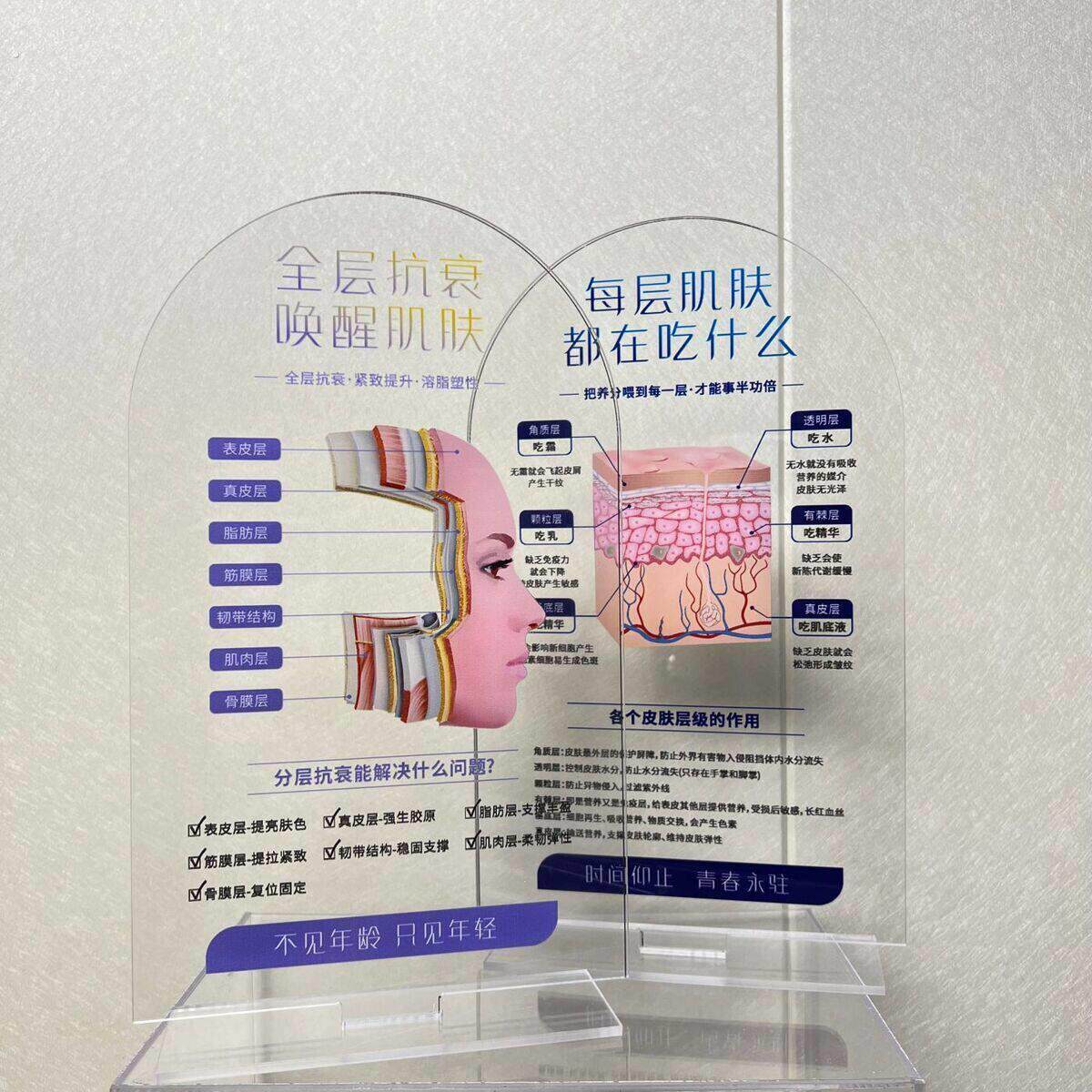 皮肤结构模型美容院皮肤层次模型亚克力面部展示牌讲解专业知识牌