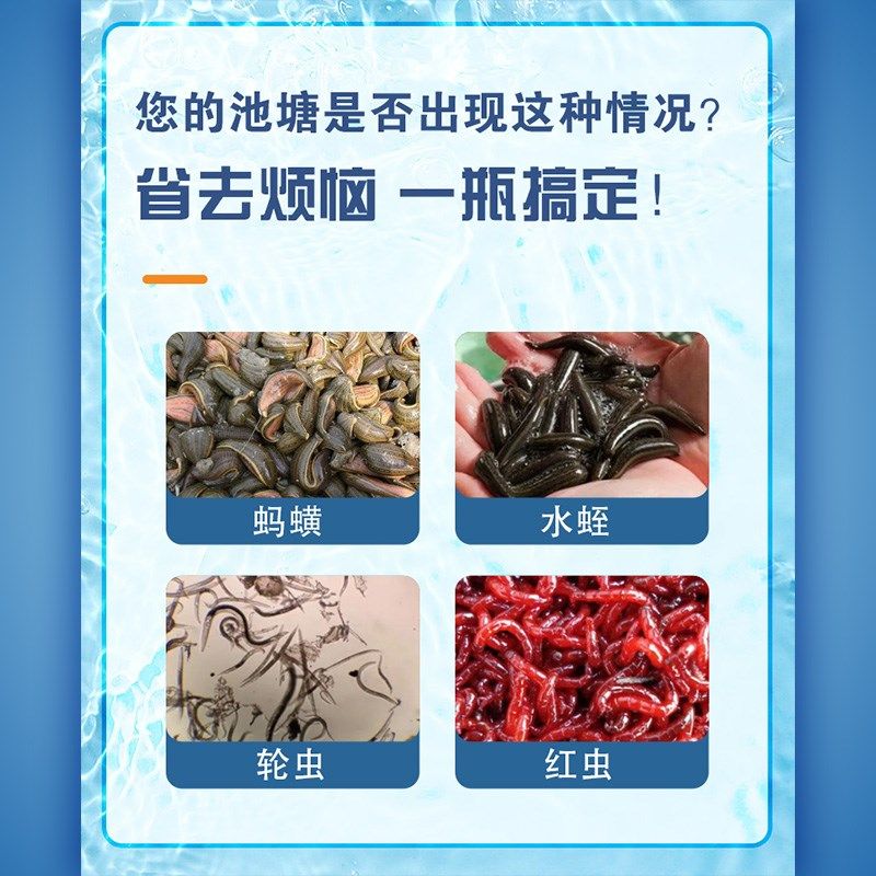 鱼药鳝宝水蛭清黄鳝杀虫药鱼塘杀蚂蟥龟鳖类水产养殖专用水蛭速净