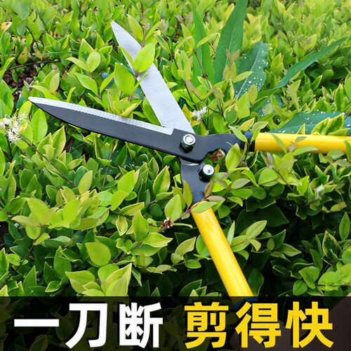 德国进口园艺大剪刀园林花剪修枝剪修剪草坪专用绿篱剪强力修剪树