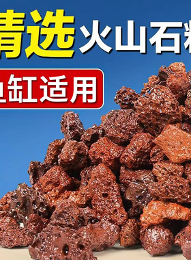 德国火山石鱼缸专用养鱼缸底砂造景沙颗粒大块底沙天然滤材免水洗
