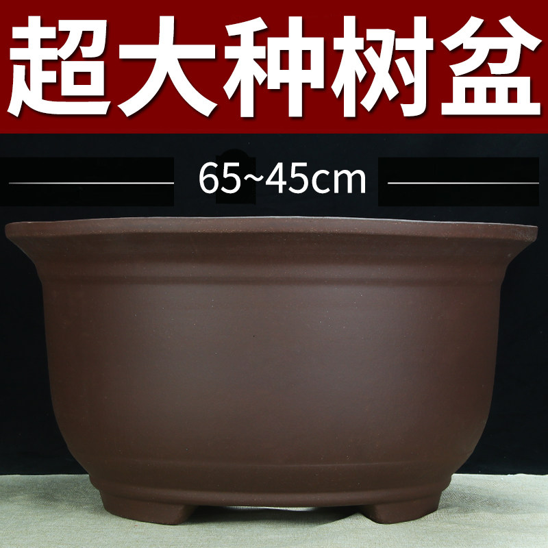 特大号紫砂花盆种树老桩清仓特价60cm以上超大种发财树铁树陶瓷盆