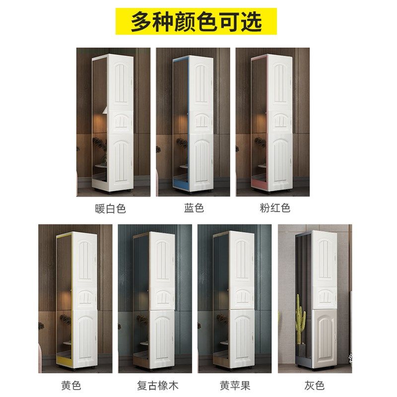 全身穿衣镜带门储物收纳柜一体多功能家用可移动网红落地试衣镜子