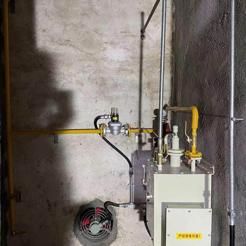 中邦CPEX30-500KG瓦斯汽化器LPG液化丙烷气化炉燃气设备炒茶专用
