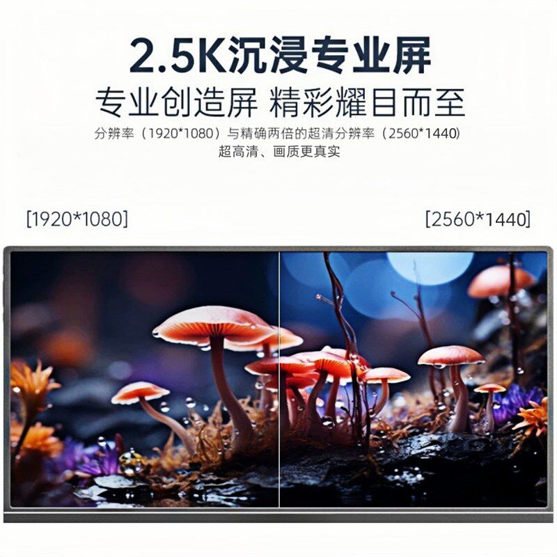 1K2K2.5k4K便携双屏显示器电脑笔记本主机游戏机外接副屏扩展分屏