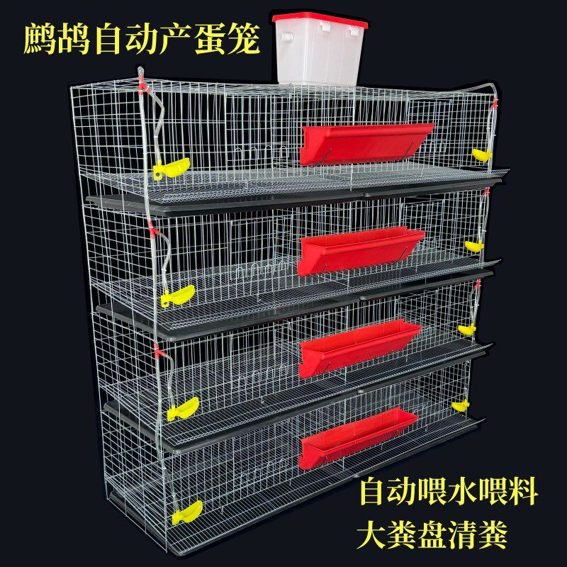 鹧鸪笼可自动清粪多层自动养殖笼石鸡大鹌鹑产蛋4层8笼位养殖笼