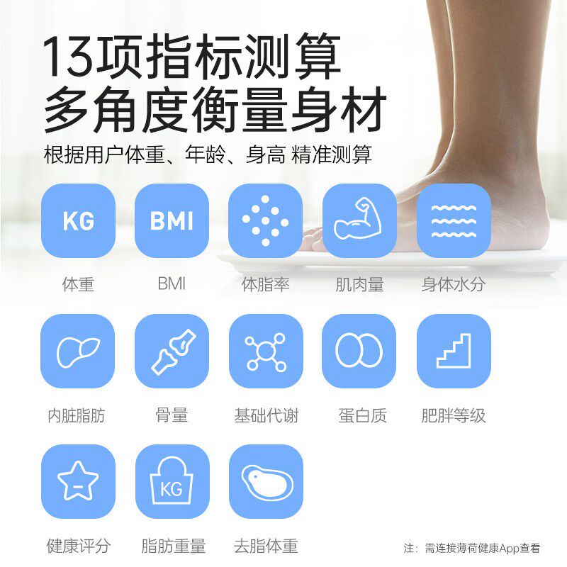 薄荷健康体重秤电子秤家用精准家庭人体秤测算体脂称体重减肥期用