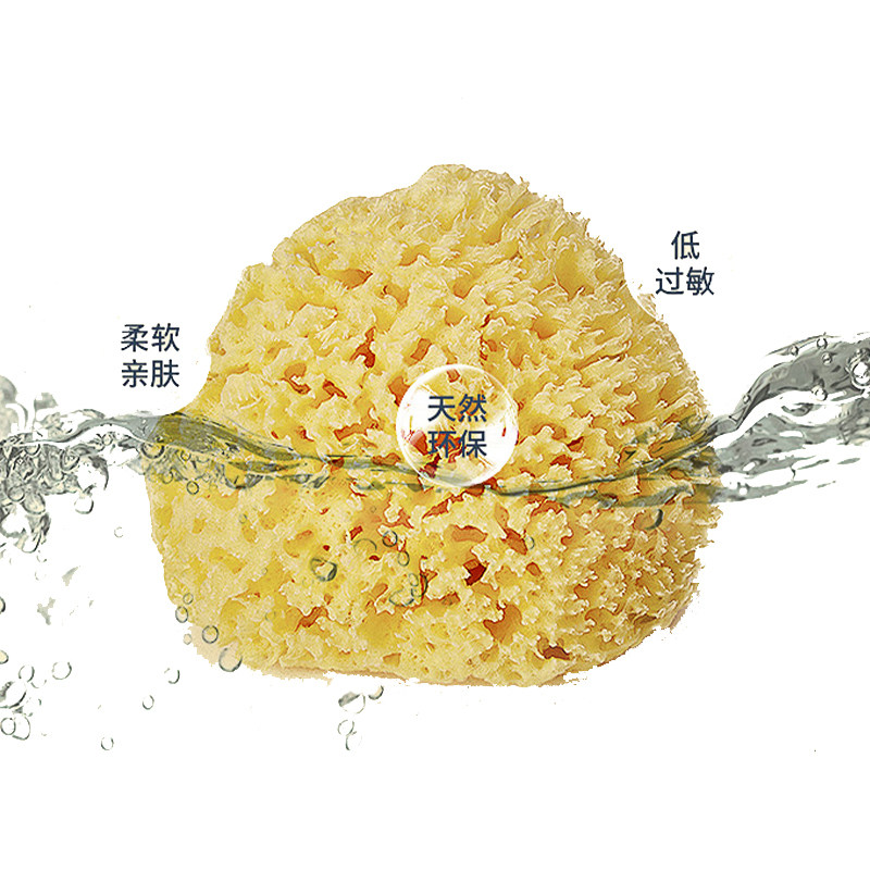 吕辰天然海绵新生婴儿孕妇洗脸搓澡蜂窝海棉宝宝沐浴棉S级10-11cm