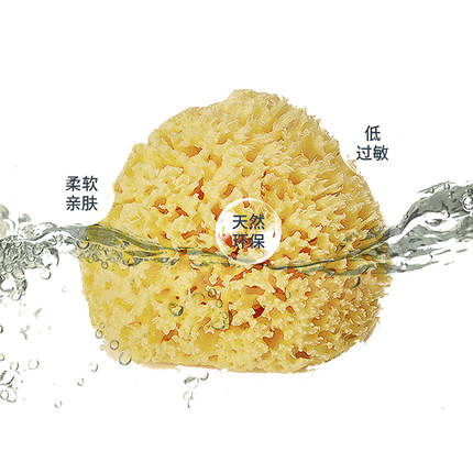 吕辰天然海绵新生婴儿孕妇洗脸搓澡蜂窝海棉宝宝沐浴棉S级10-11cm