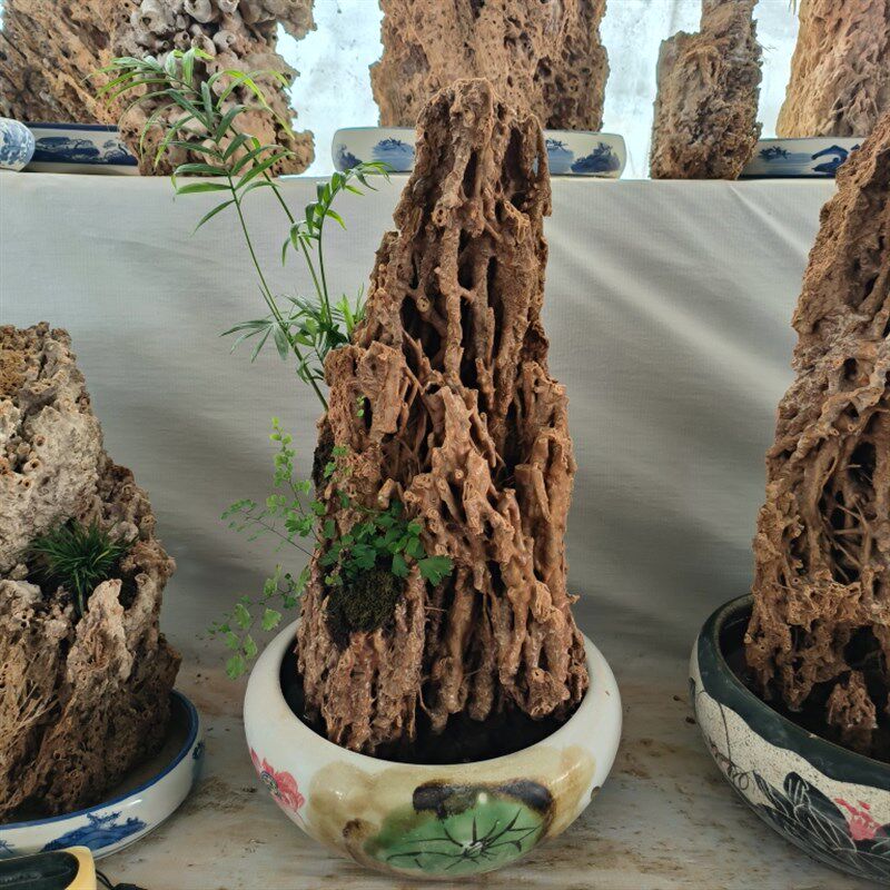 吸水石 天然芦管石钟乳原石上水石假山盆景摆件植物化石鱼缸造景