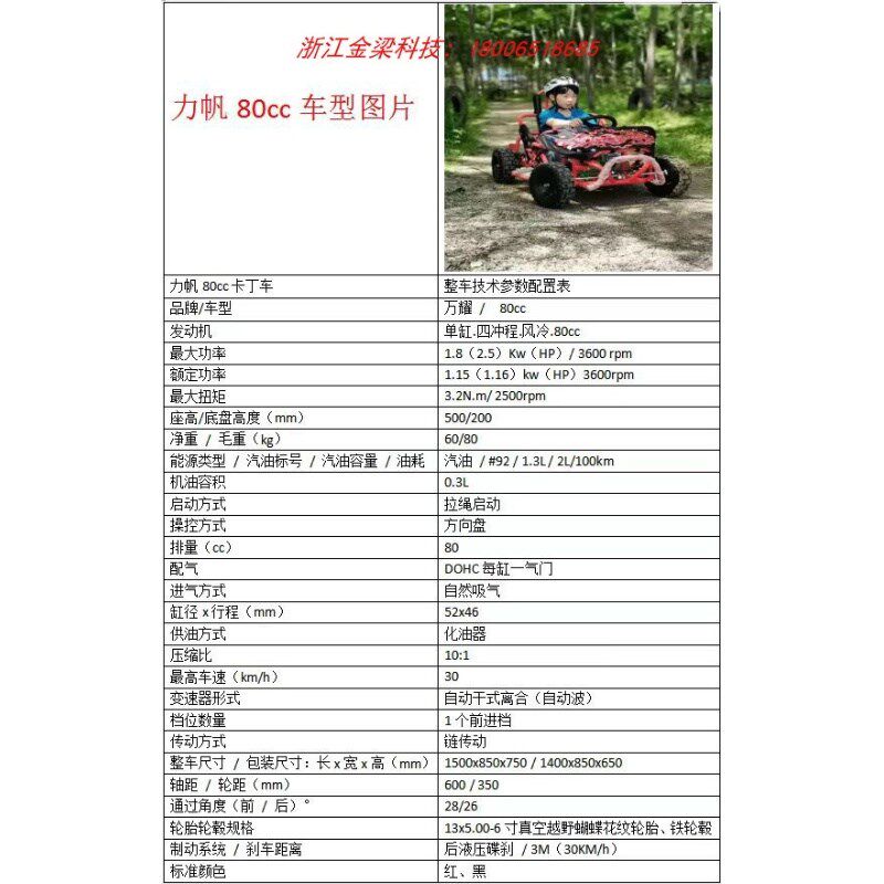 卡丁车儿童 场地竞技F1赛车 2022新款俱乐部全地形沙滩越野摩托车