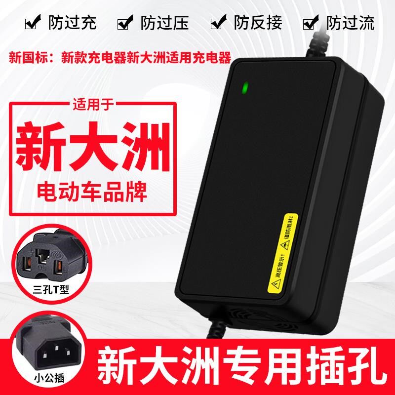 适用新大洲电动车电瓶充电器48V12AH60V20AH72V32A新国标