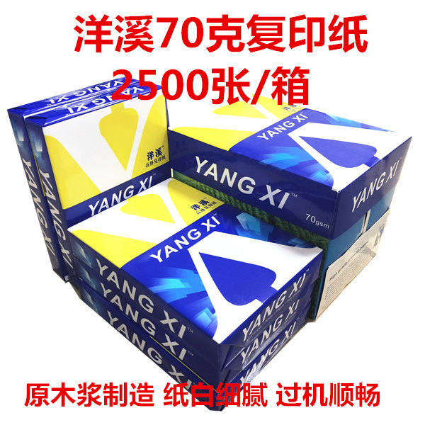 海龙a4复印纸70克打印纸 80克整箱500张A4白纸5包玖龙 天章韵办公