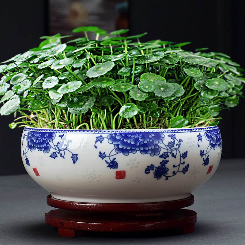 水仙花盆陶瓷水培铜钱草水养植物碗莲一叶莲圆形家用大号无孔花盆