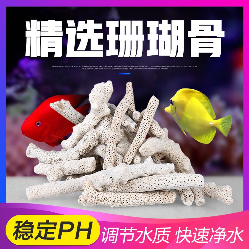 珊瑚骨滤材鱼缸过滤材料大珊瑚石沙鱼池养鱼用品海底砂水族箱造景