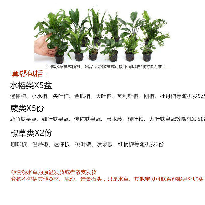 淡水新手入门鱼缸真水榕水草组合套餐鱼缸造景水族箱装饰60cm用
